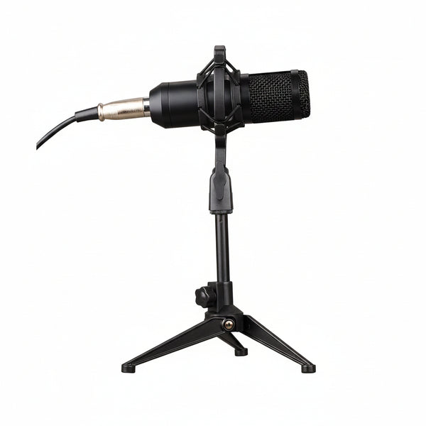 Kit Micrófono para Streamer/Podcast AMK07 Sate